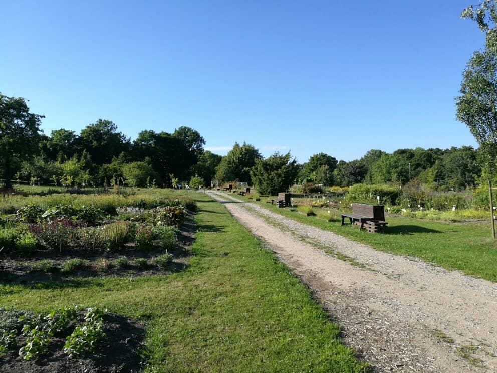 University Campus Ambiance