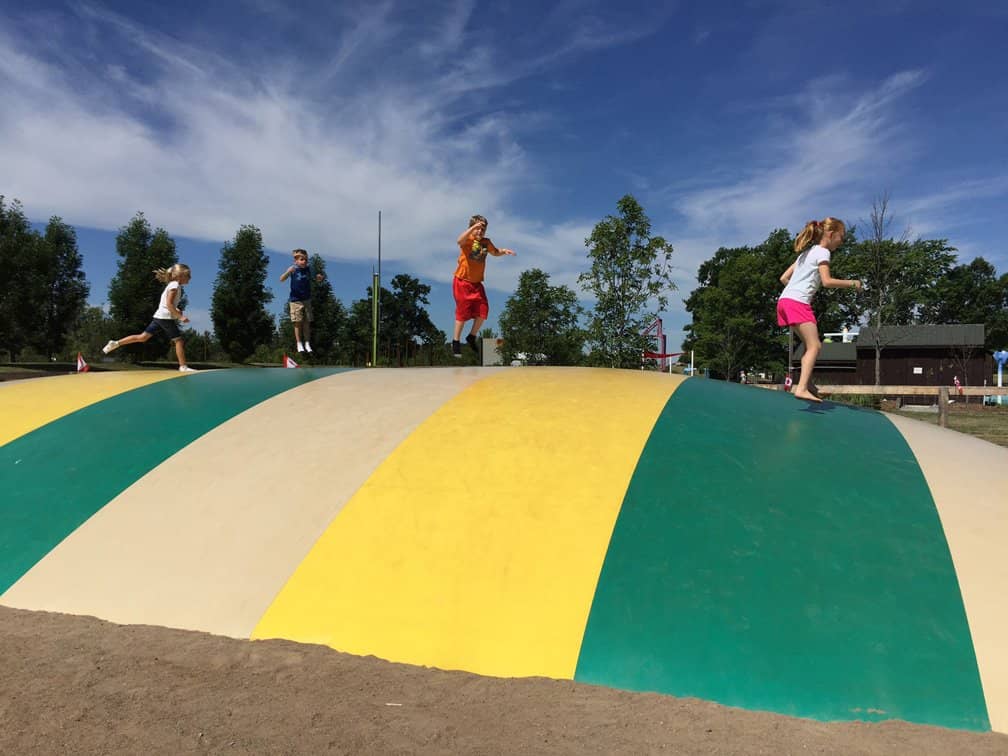 Diverse Animal Exhibits