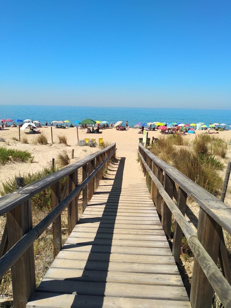 Enebrales de Punta Umbría