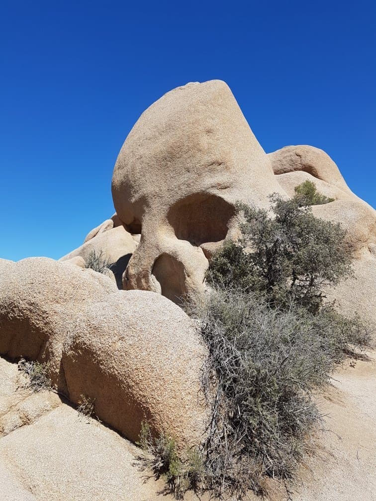 Skull Rock Joshua Tree National Park