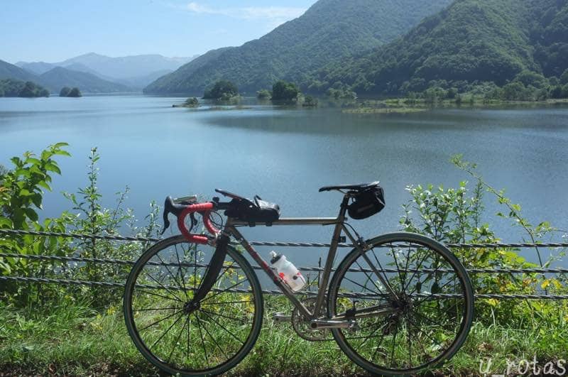 Autumn Leaf Spectacle