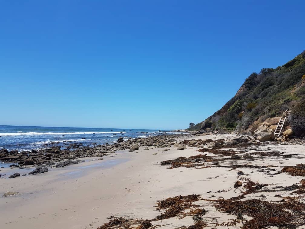 Rugged Coastal Beauty