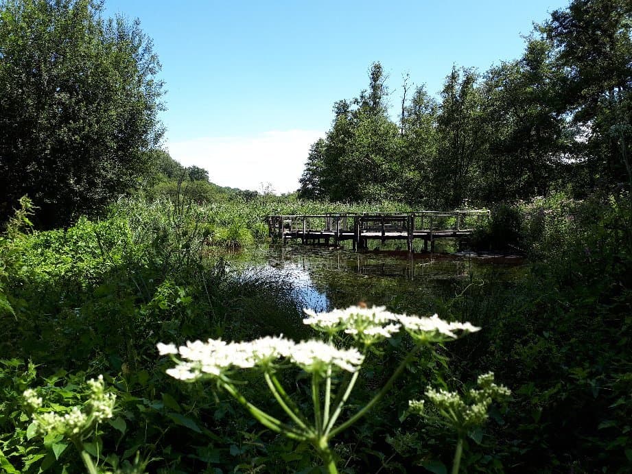 Go for a walk in the Vallée de Chevreuse