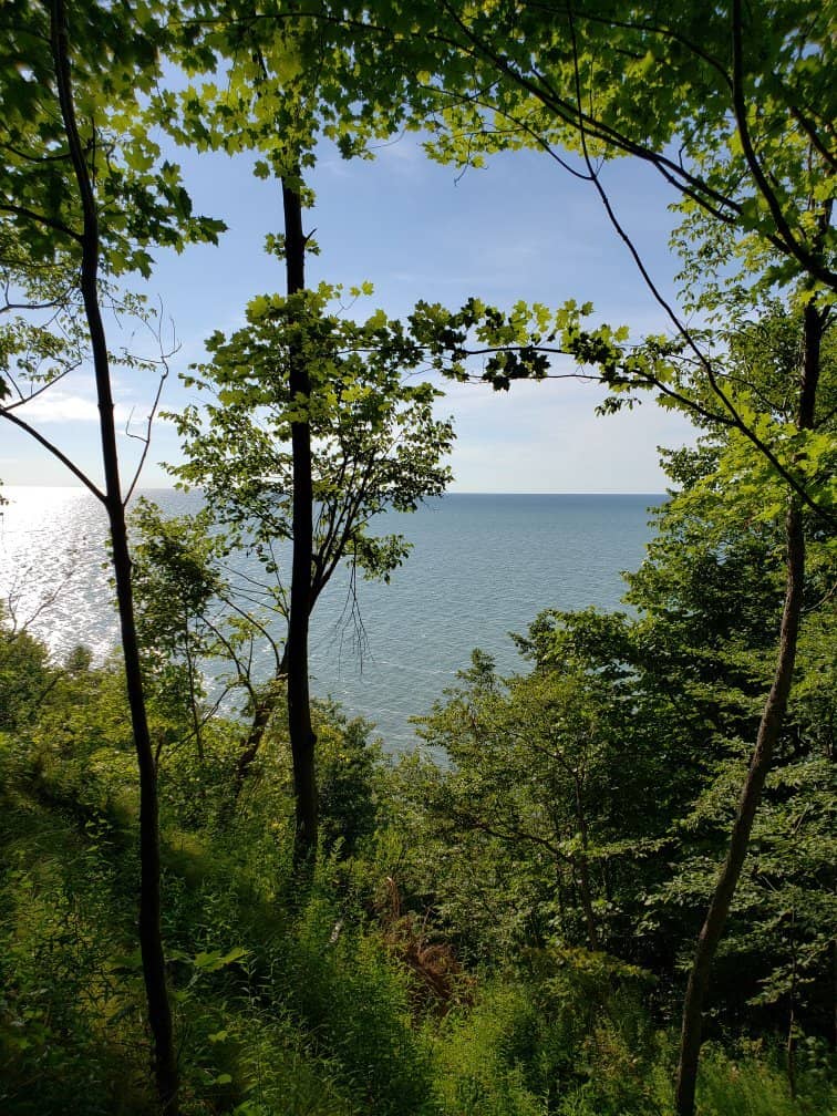 Woodland & Grassland Trails