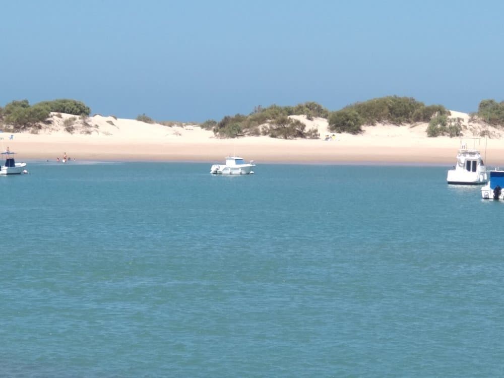 Parque Natural Bahía de Cádiz