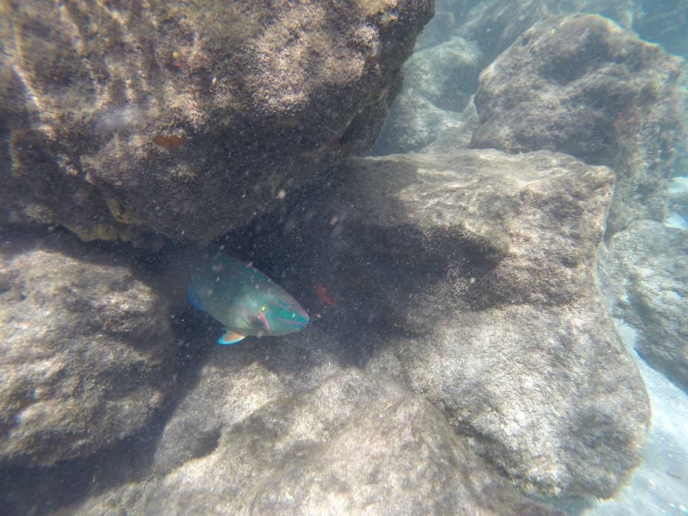 Crystal Clear Waters
