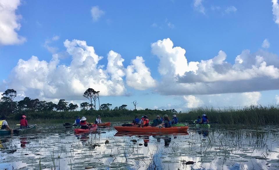 The Friends of Savannas offers weekly Guided Kayaking Programs.