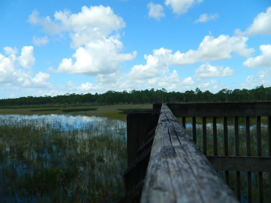 Bluefield Ranch Preserve