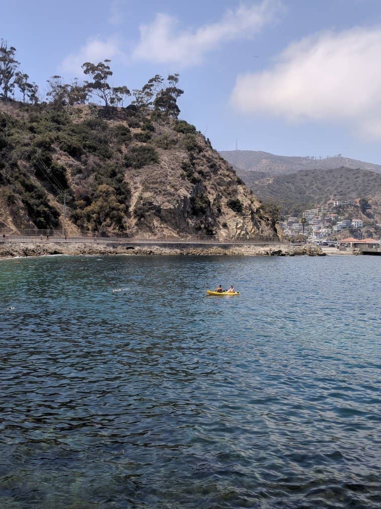 Kelp Forest Exploration