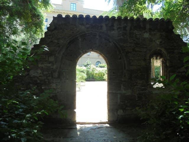 Italy's 'Tree of the Year 2022'