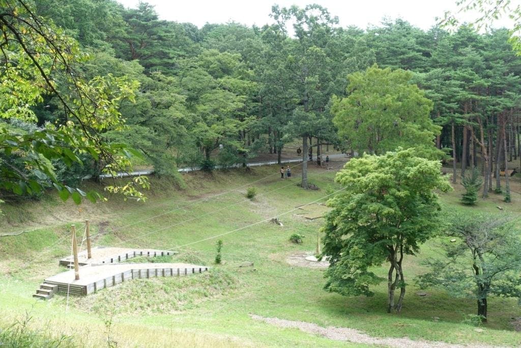 景點活動