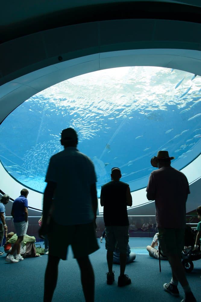 looking up at the water