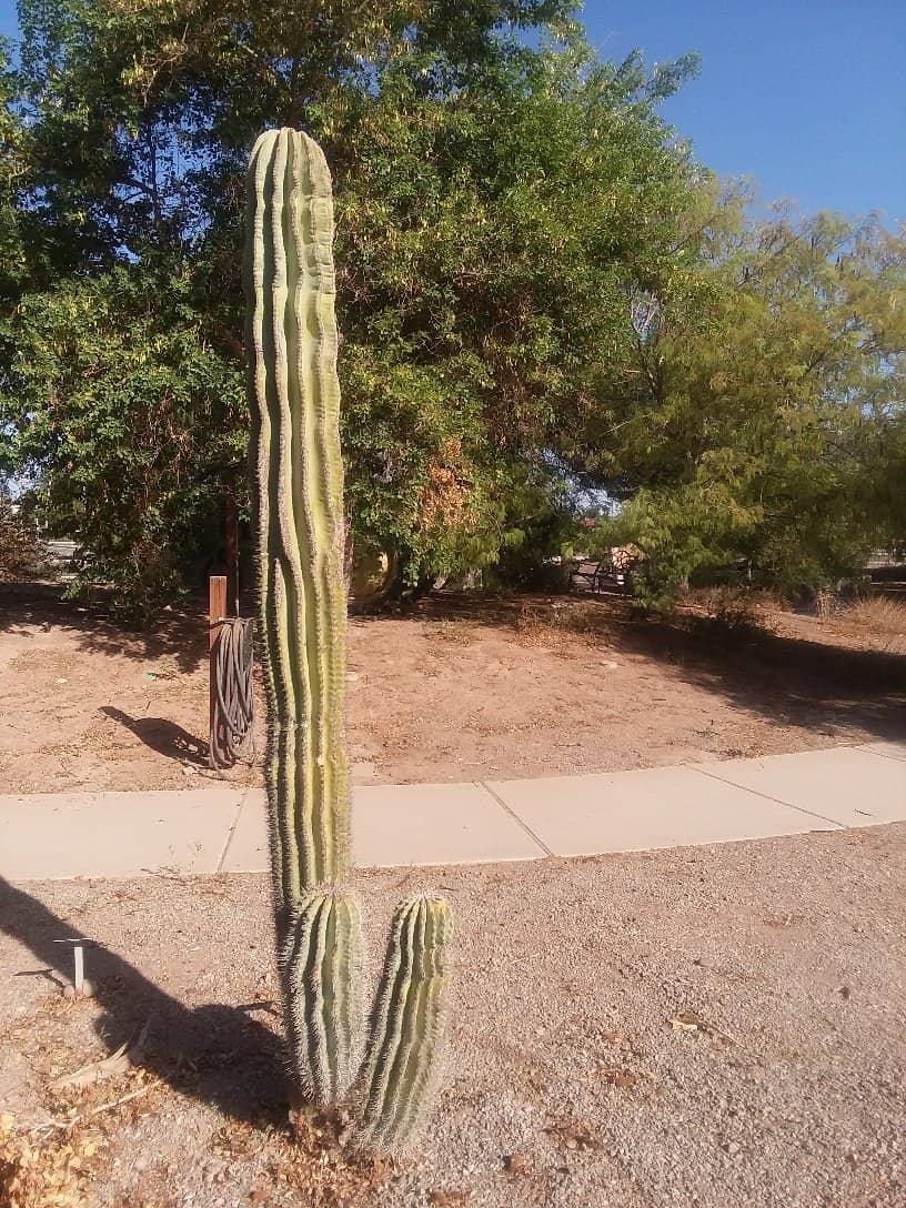 Amphitheater Serenity
