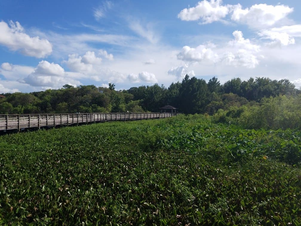 Lake Lotus Nature Park