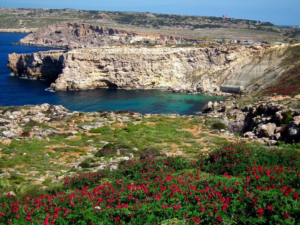 Il-Majjistral Nature & History Park