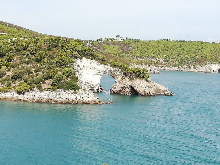 The Iconic Arch
