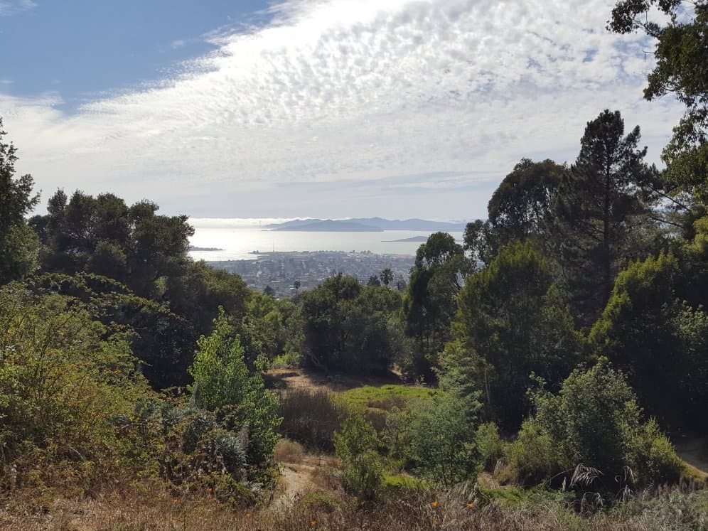 Blake Garden Kensington