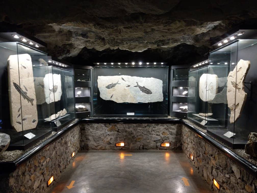 Rock and Mineral Museum