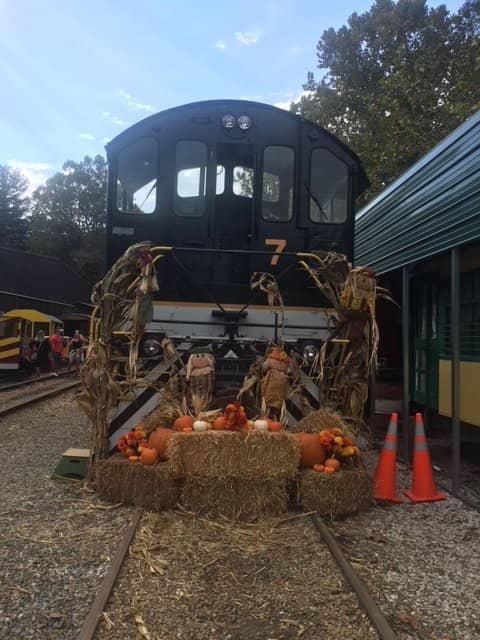 Nantahala Gorge Excursion