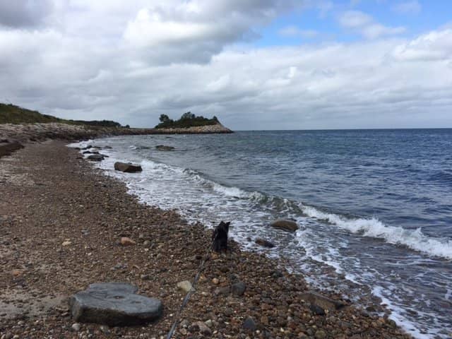 Wooded Nature Trails