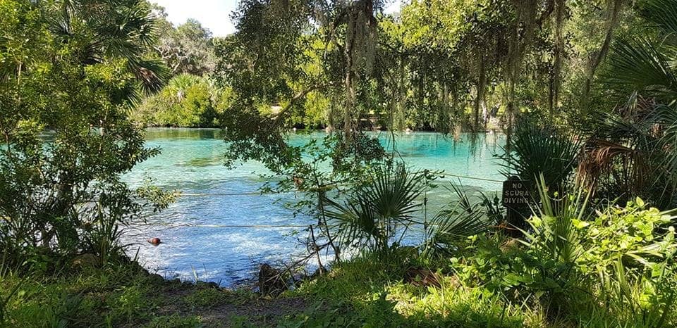 Crystal Clear Waters