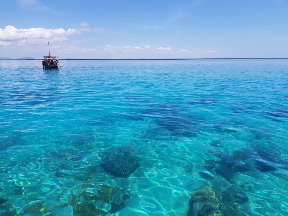 Kisite-Mpunguti Marine National Park & Reserve Diani Beach