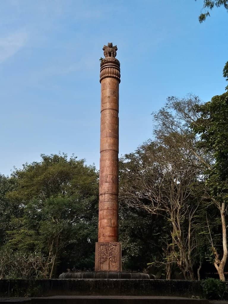Vertical photo