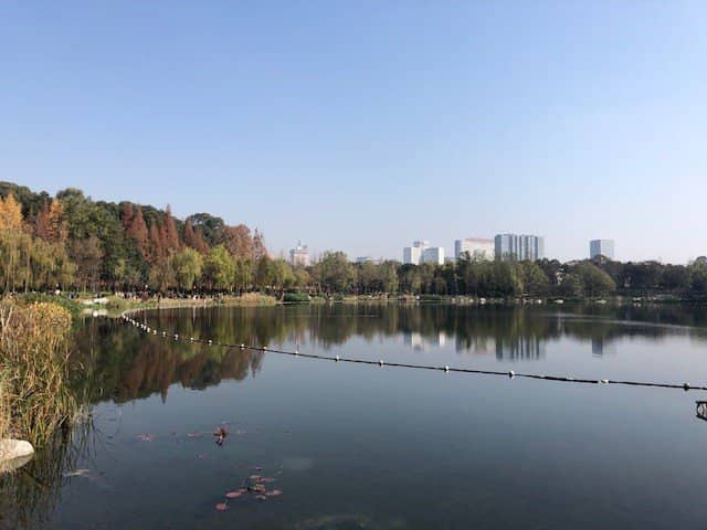 Lush Greenery and Gardens