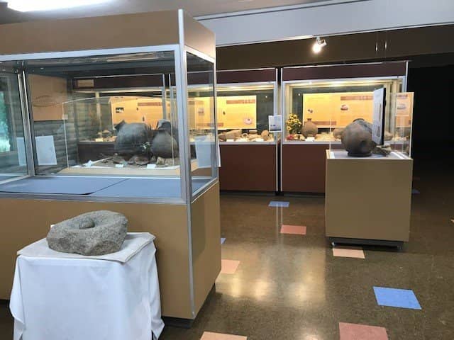 Local Artifact Collection