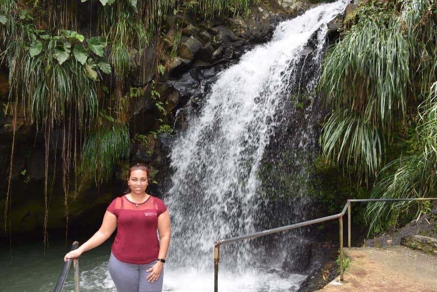 Lush Rainforest Surroundings