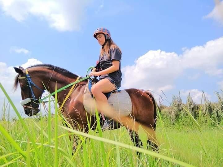 Enjoy your vacation in bali Horse Ridding