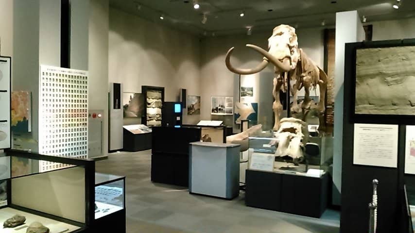 Human History of Boso