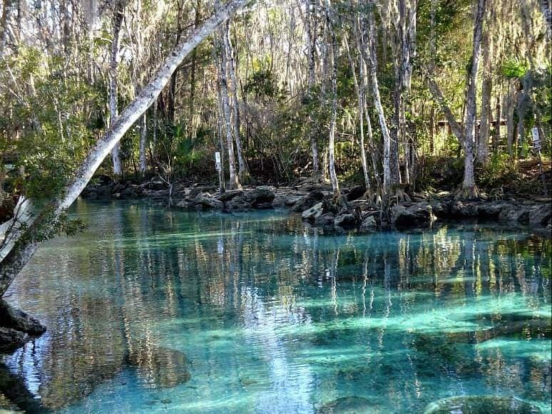 The lagoon that's surrounded by the boardwalk