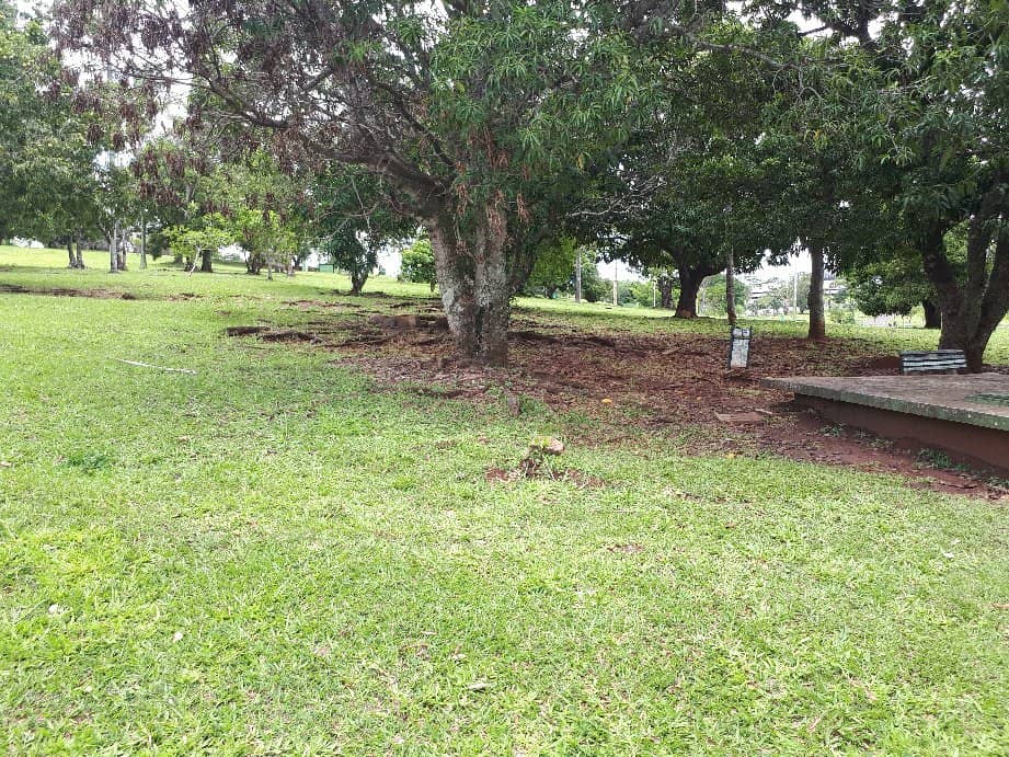 Lush Green Spaces