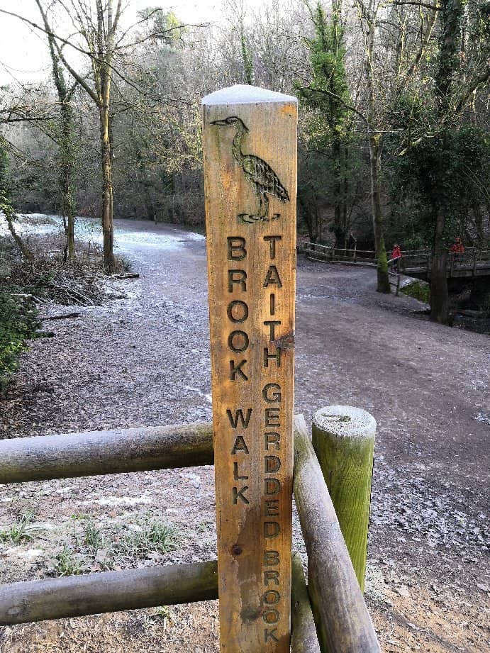 Wepre Brook and Waterfall