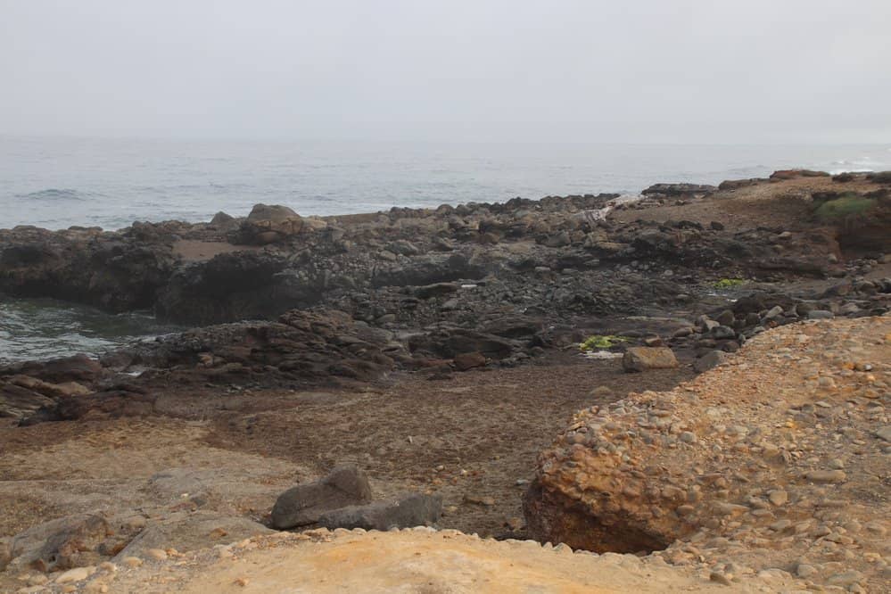 Tide Pool Exploration