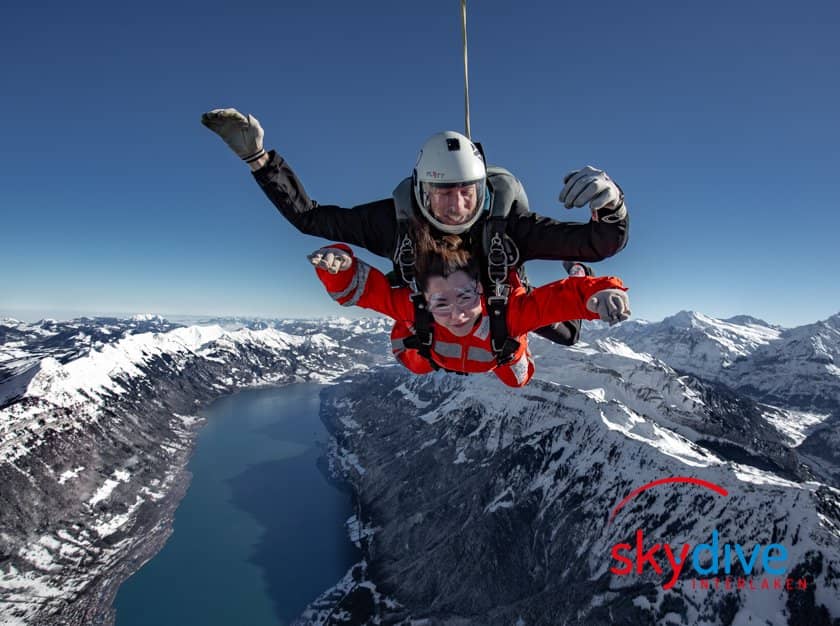 The Thrill of Freefall