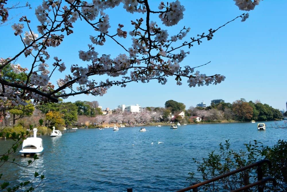 The Grand Pond
