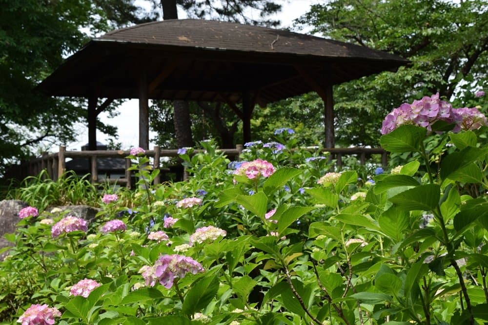Tamagawa Riverbed Park Rokugo