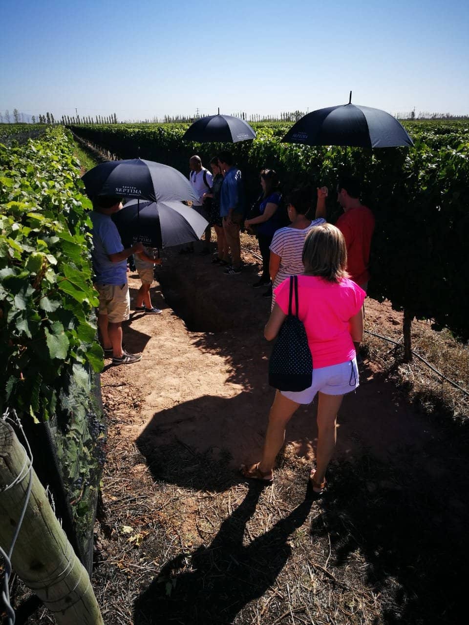 Wine Tasting Experiences
