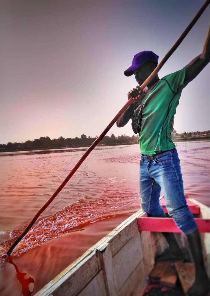 The Iconic Pink Waters