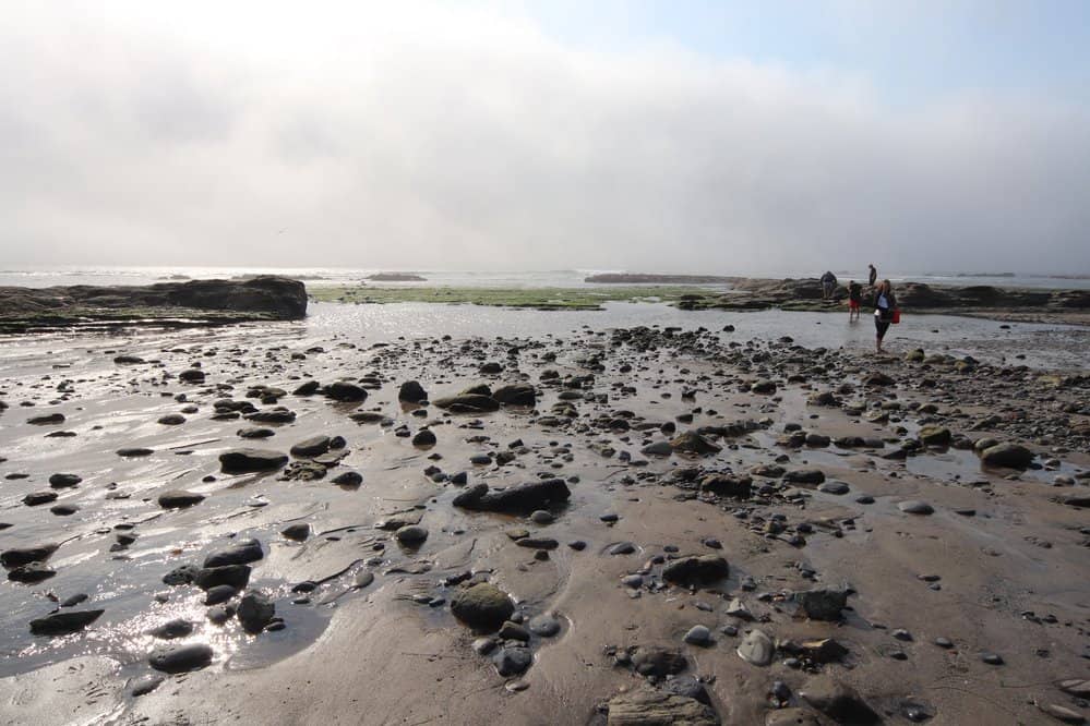 Scenic Seafront Trail & Observation Deck