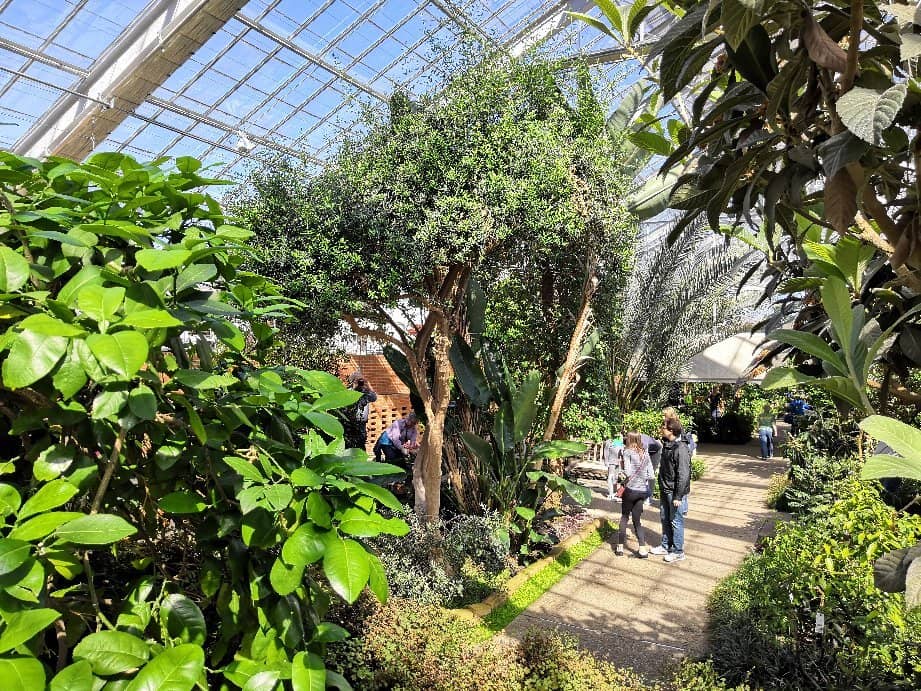 Bonsai Garden