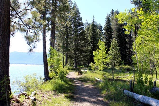Lower Dewey Lake