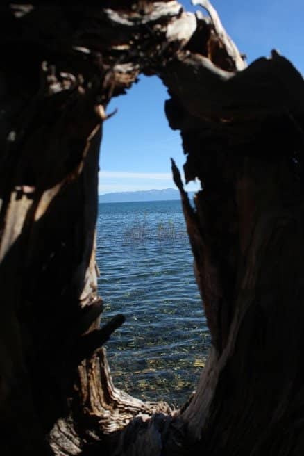 Vertical photo