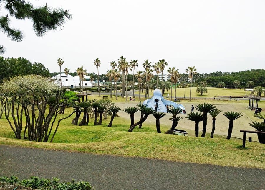 海岸側から見た芝生広場です。広いです。