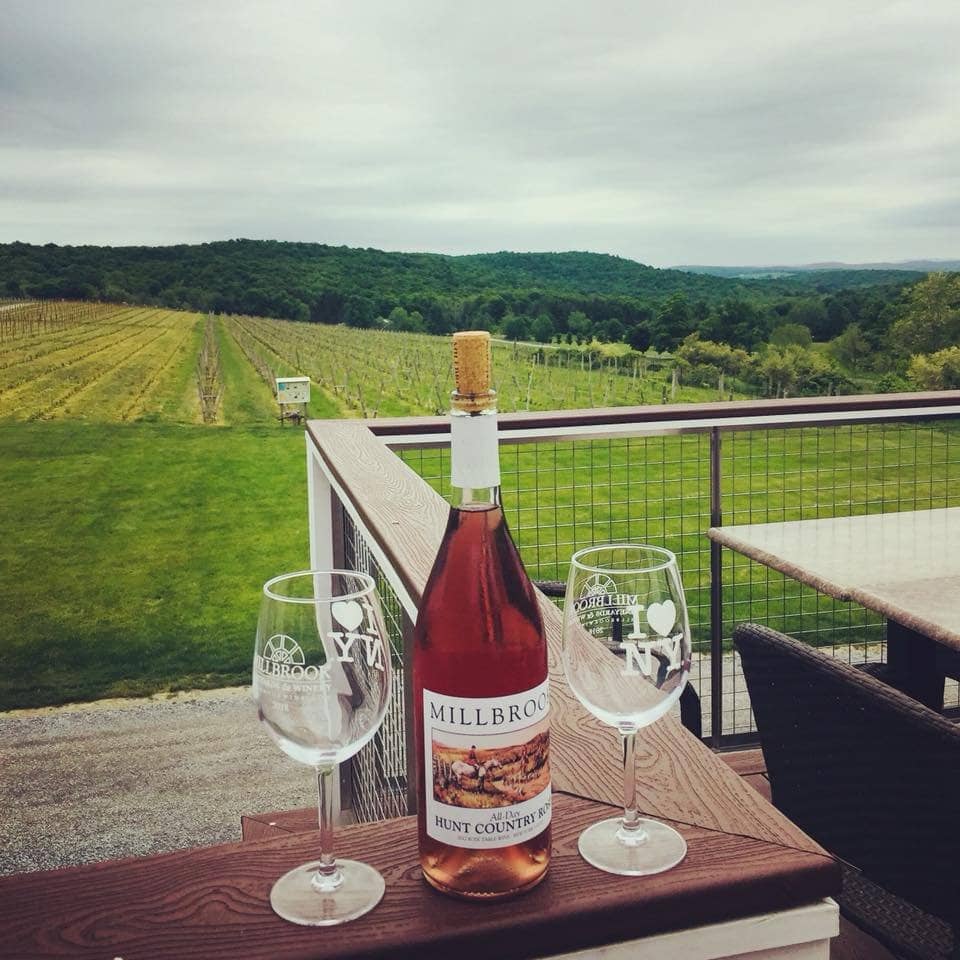 Weekend Food Truck Delights