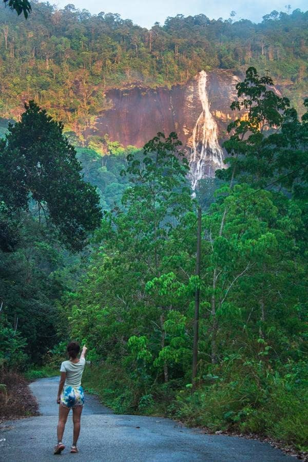 Vertical photo