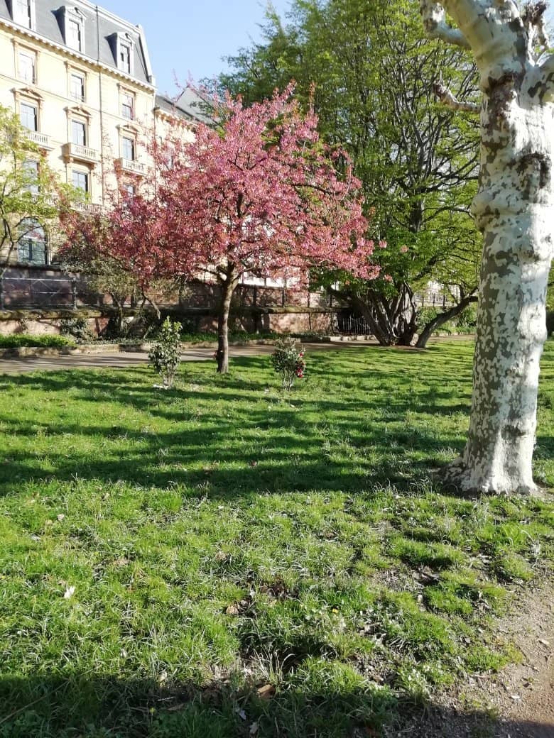 Playgrounds & Sports Fields