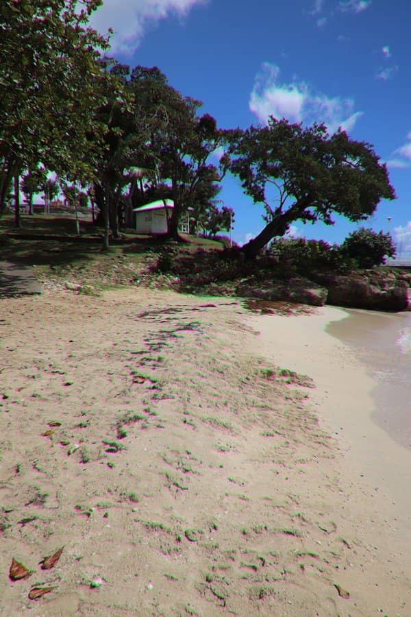 Natural Swimming Pool